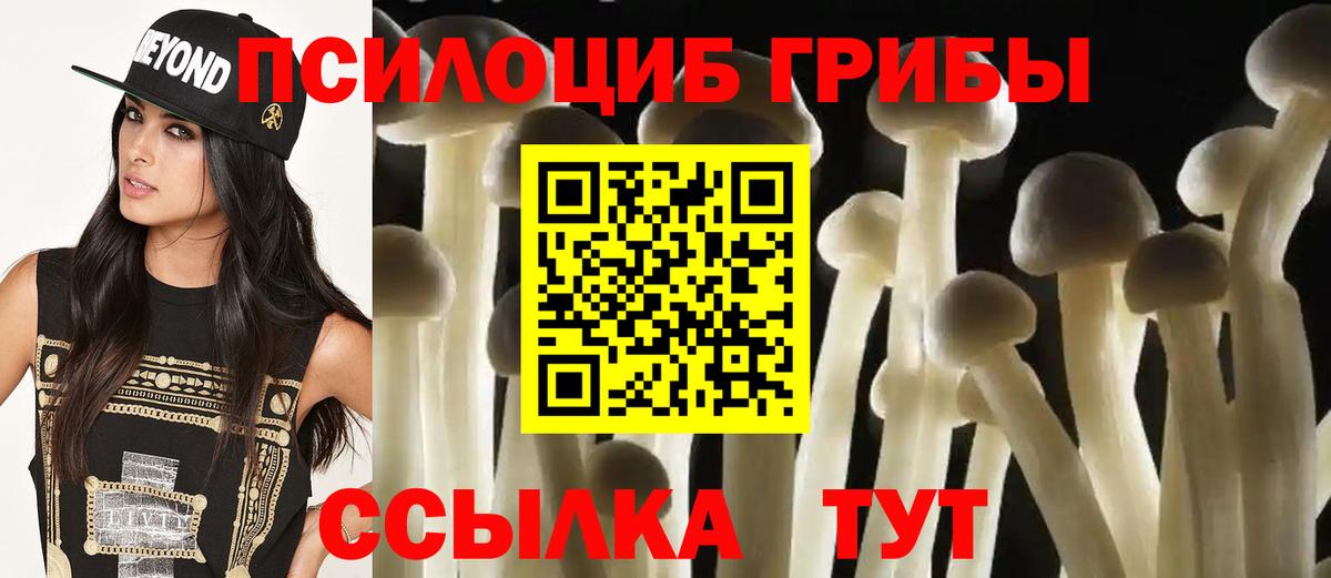 Галлюциногенные грибы MAGIC MUSHROOMS  Галлюциногенные грибы Psilocybine cubensis  Майкоп  Вход с VPN 